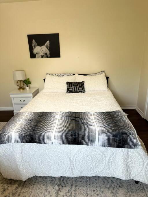 Walk To The Alamodome! Sleeps 6, Pet Friendly Apartment San Antonio Luaran gambar